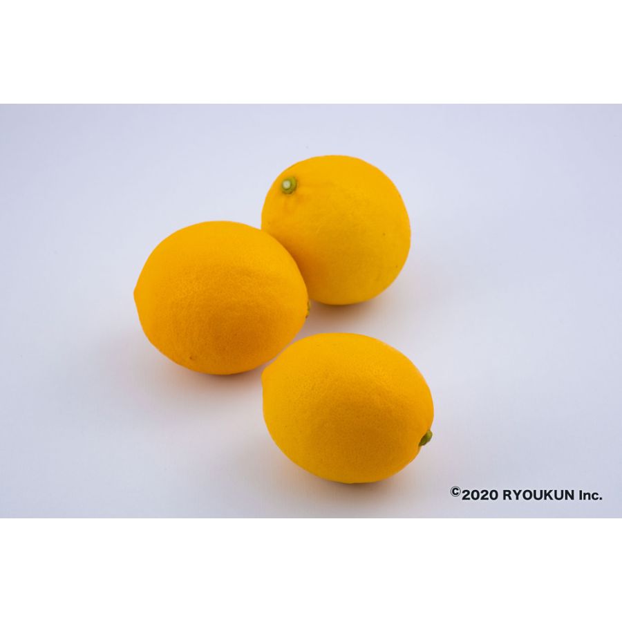 宮崎県産 マイヤーレモン(5kg:段ボール入り)