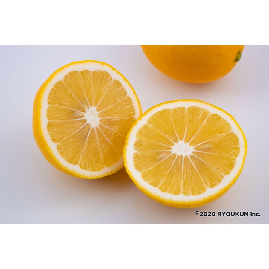 宮崎県産 マイヤーレモン(5kg:段ボール入り)