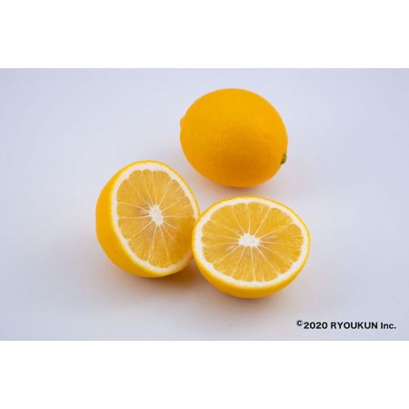 宮崎県産　マイヤーレモン（5kg：段ボール入り）