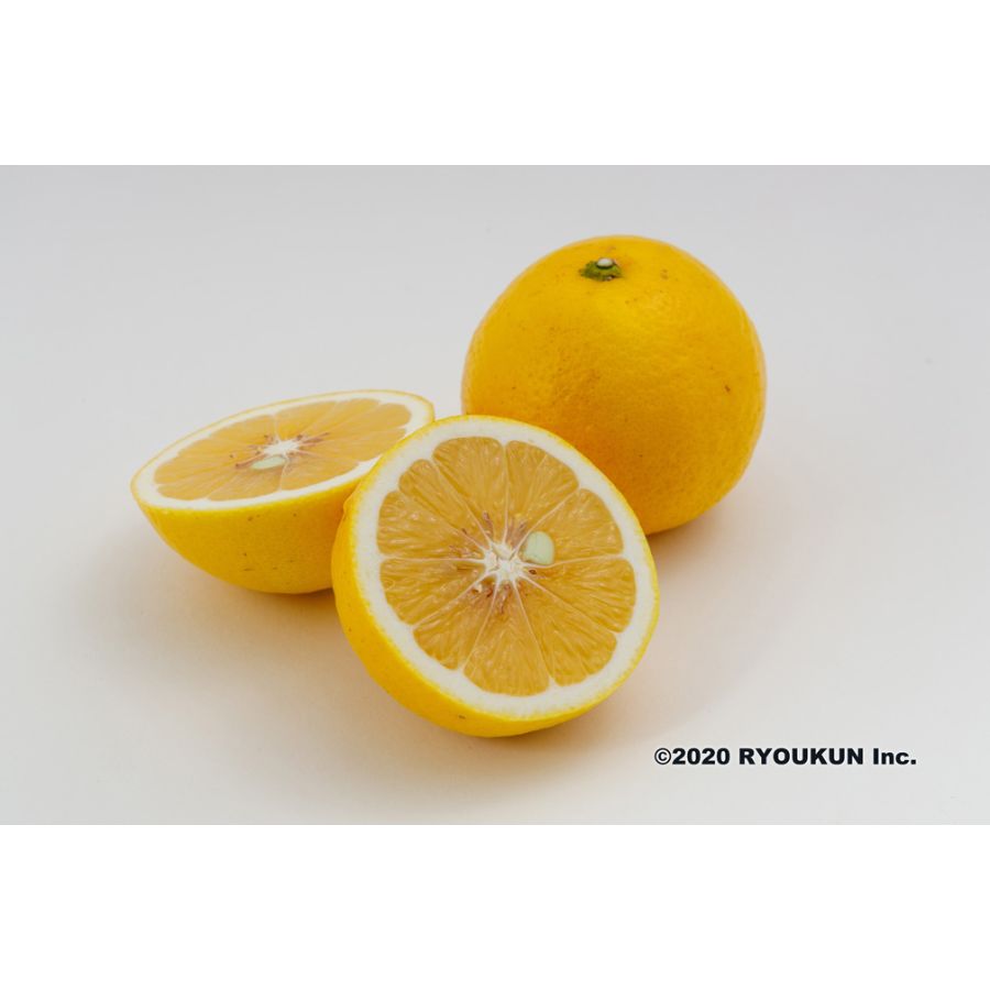 宮崎県産 恋する日向夏(3kg:段ボール入り)