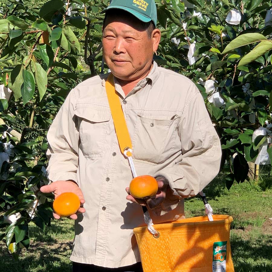 富有柿3L以上　4kg