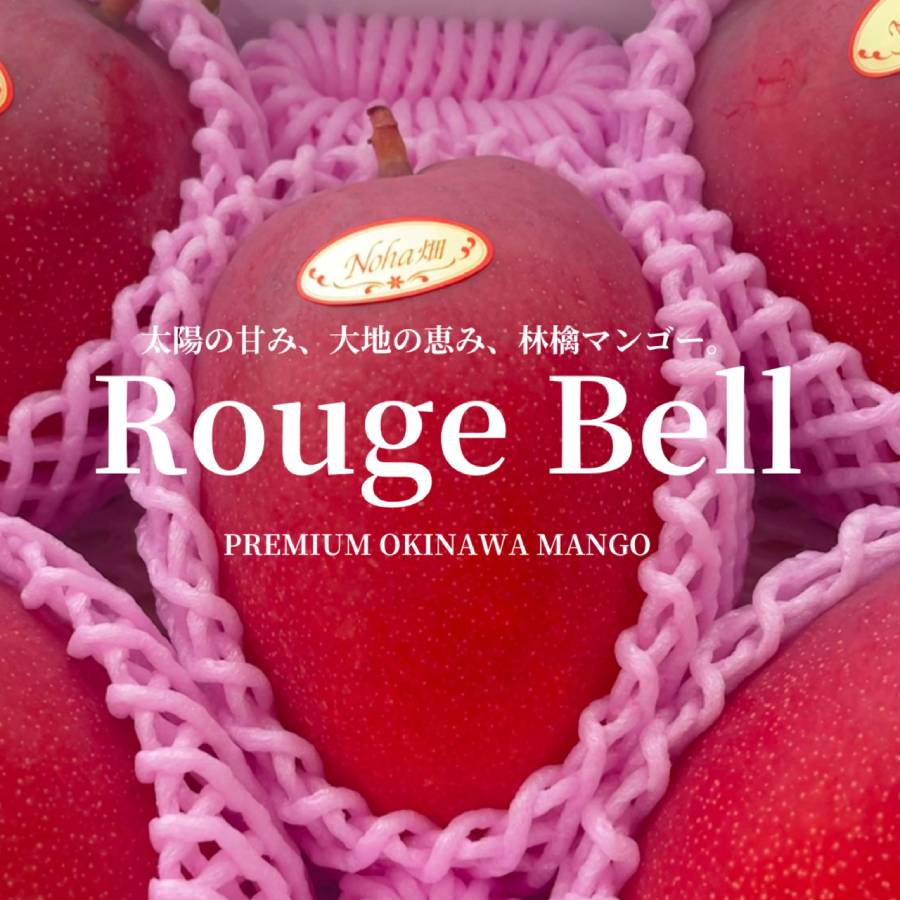<TRAFRU果樹園~太陽と旅する果実~>ROUGE BELL計800g以上(2玉入り)