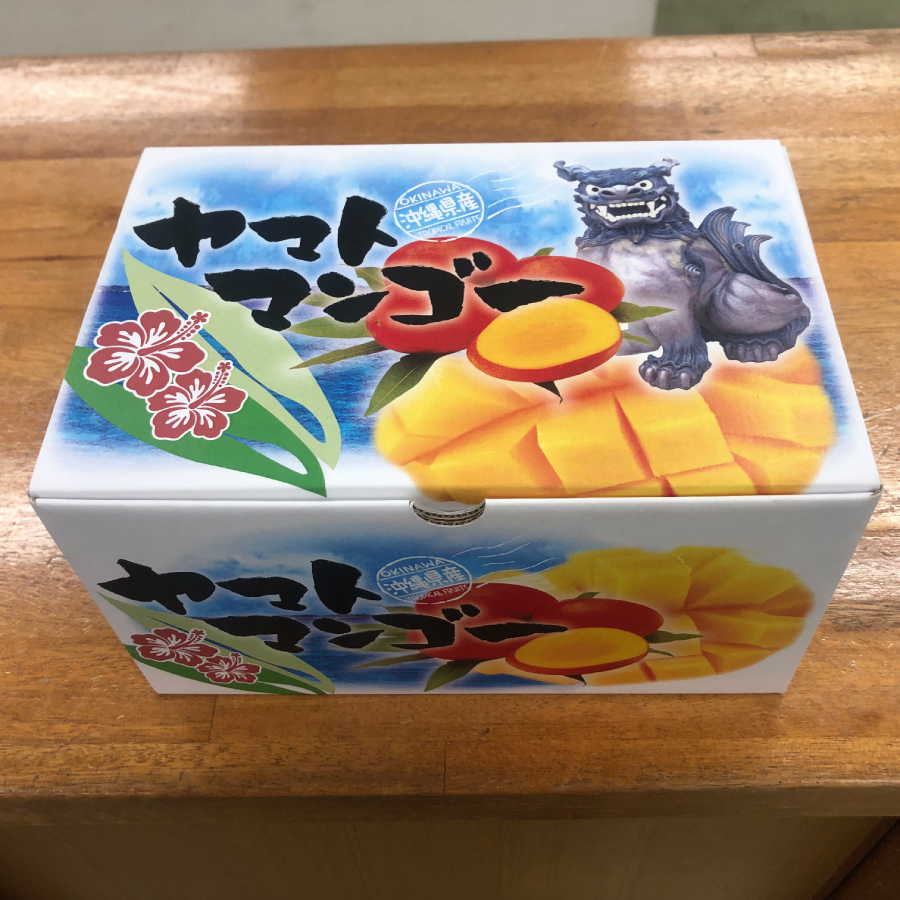 ＜ヤマトマンゴー＞八重瀬町産　完熟マンゴー2玉（4L）1kg