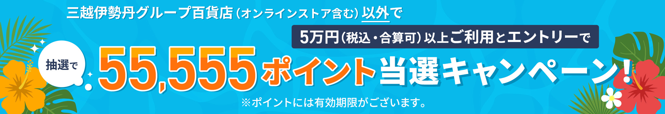 三越伊勢丹ふるさと納税対象 真夏の運試し!55,555ポイント当選キャンペーン!