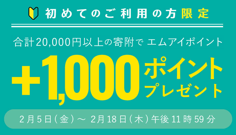 494円 【代引不可】 サラダクラブ フライドオニオン 10g×12個
