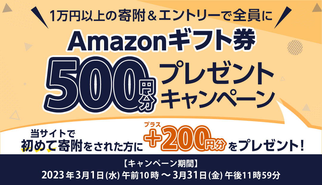 Amazonギフト券500円分プレゼントキャンペーン