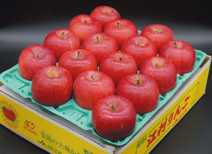 江刺りんご「サンふじ」16～18玉【中玉】5kg