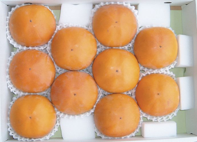 温室新秋柿 2㎏