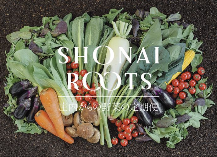 【毎月届く定期便】＜SHONAI ROOTS＞旬の野菜セット