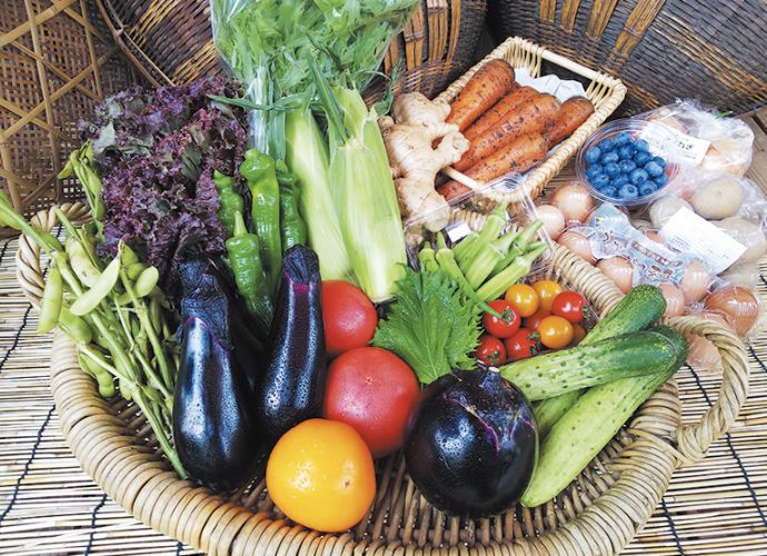 【定期便6回】季節の「京野菜」11～12種類&平飼い卵10個セット栽培期間中農薬・化学肥料不使用