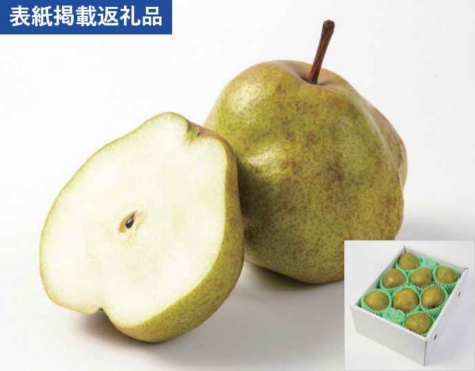 ＜アンスリーファーム＞西洋梨 ラ・フランス特秀 2kg（5〜8玉）