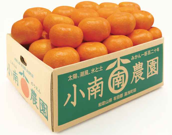 有田みかん 3kg