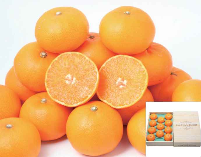 愛媛県産 せとか 3kg