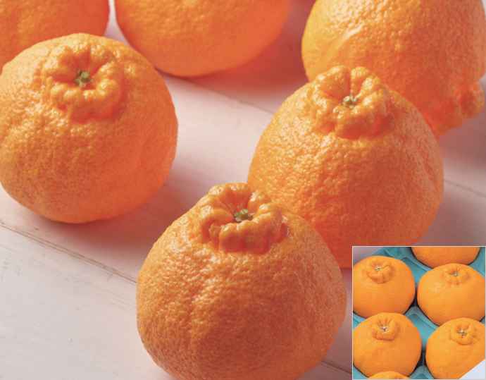 ＜岩田屋本店･南国フルーツ＞佐賀産デコポン2kg