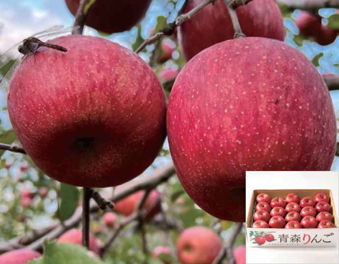 ＜マルコウアップル＞特A 濃厚サンふじ　糖度13度以上
