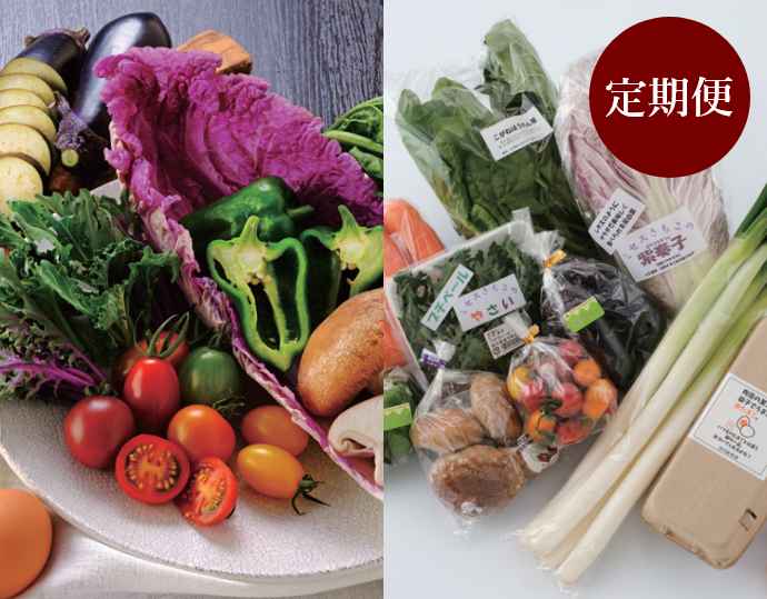 旬の採れたてぜいたく野菜セット2人用定期便