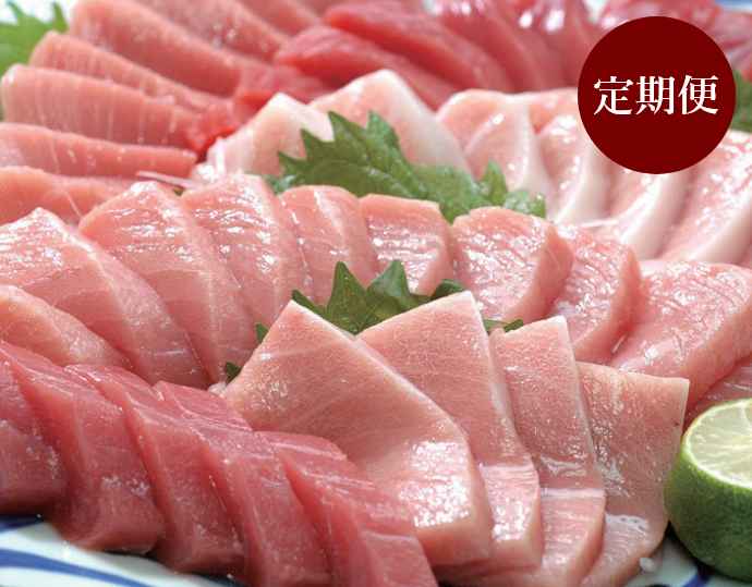 ＜串本食品＞和歌山県串本産「本まぐろ」大トロ・中トロ・赤身セット計500g 定期便