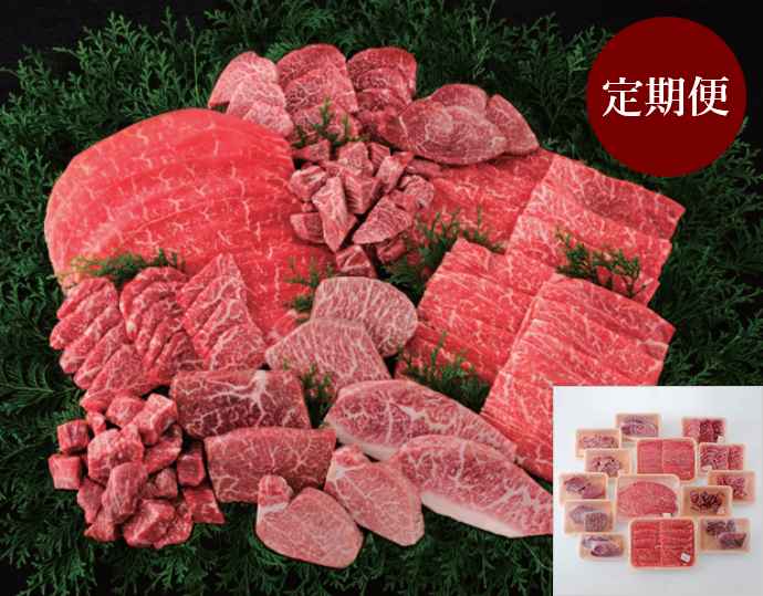 ＜丸小本店＞「飛騨牛」A5 等級『ヒレ・シャトーブリアン』& 赤身定期便