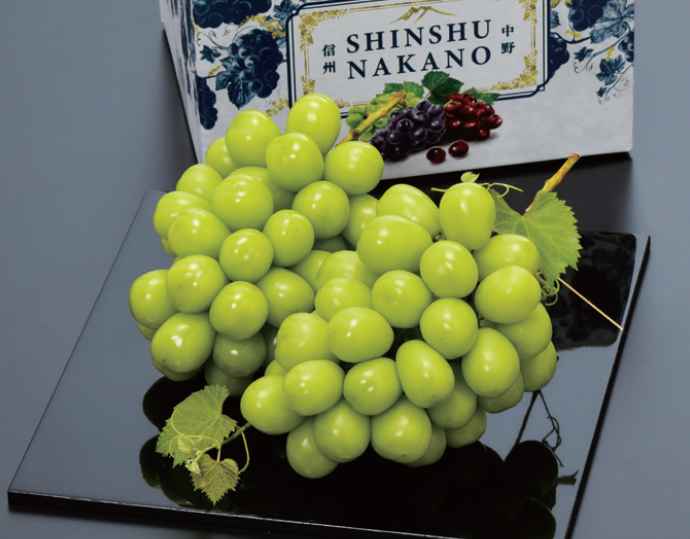 シャインマスカット 大粒4Lサイズ2房