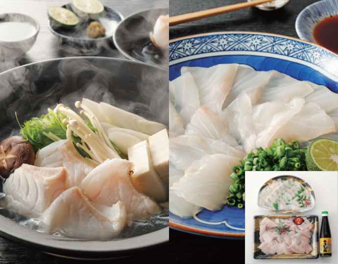 <福井鮮魚>天然くえ「鍋&刺身」2 から3 人前