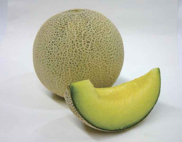 <京橋千疋屋>茨城県産 イバラキングメロン 1個入