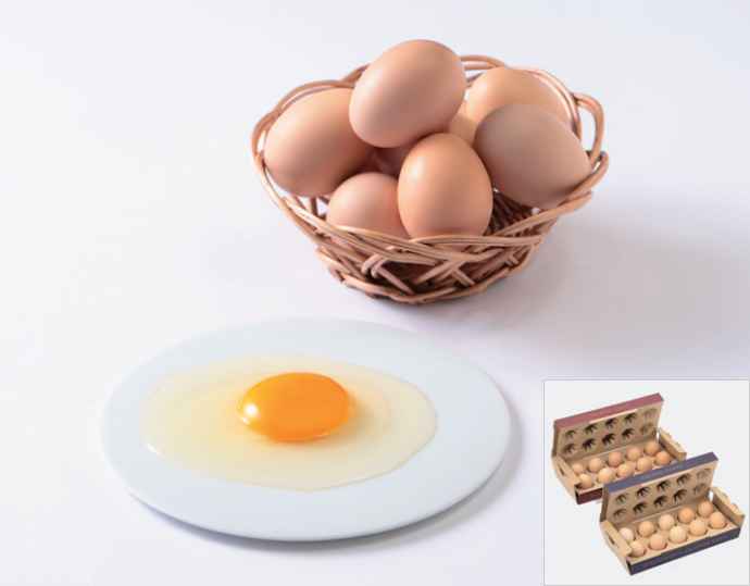 <とさやま養鶏場>土佐ジロー鶏卵