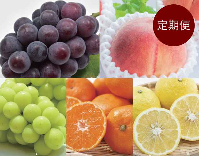 和歌山旬のフルーツ定期便
