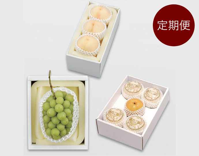 岡山フルーツ定期便(清水白桃 3 玉・シャインマスカット 大房1 房・あたご梨 4kg)