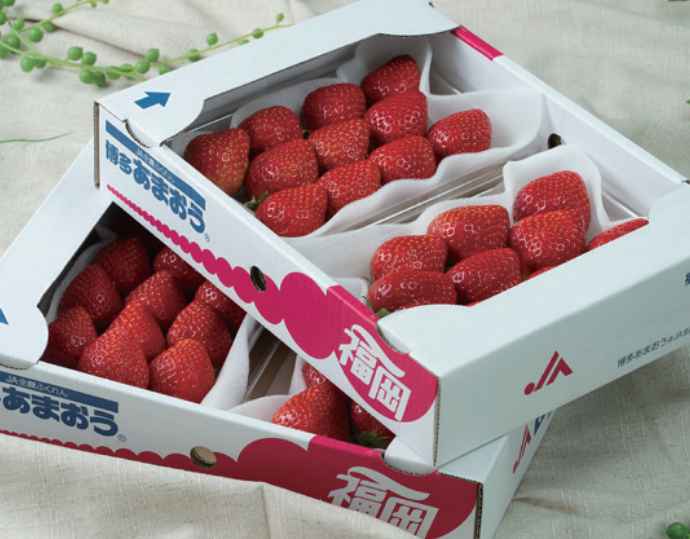 <岩田屋本店・南国フルーツ>福岡産あまおう苺 4パック