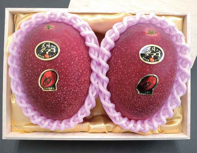 西都産 完熟マンゴー太陽のたまご 4L2玉 桐箱入り