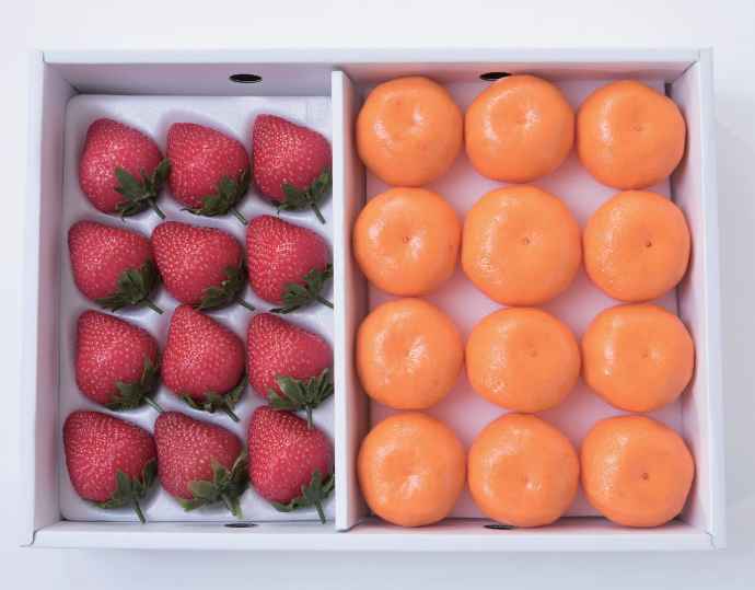 福岡県産あまおう&山川みかん詰合せ