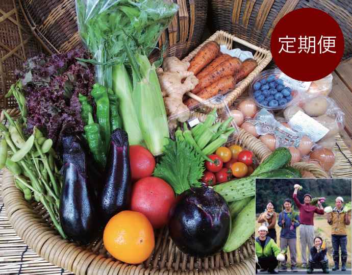 季節の「京野菜」9 から11 種類& 平飼い卵10個セット定期便《栽培期間中農薬・化学肥料不使用》