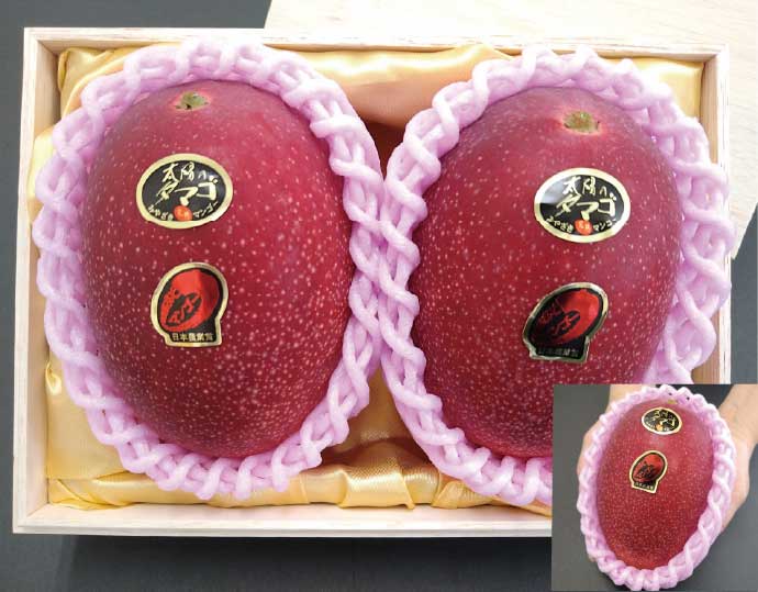 西都産 完熟マンゴー太陽のたまご 4L 2玉 桐箱入り
