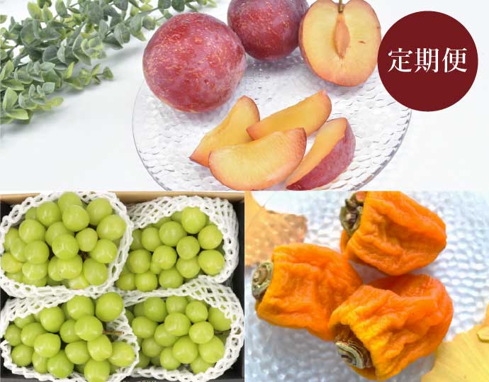 ＜南脈風花＞南アルプスの名産果樹 定期便