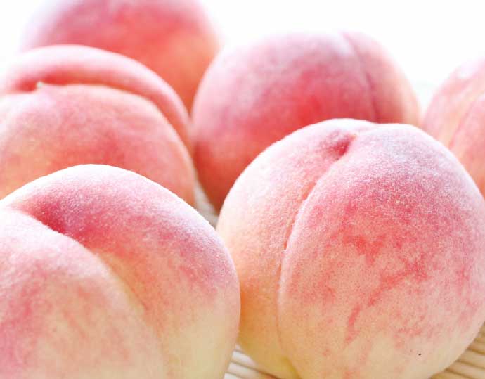 桃「日川白鳳」秀品（大玉）1.8kg（6 〜 8 玉）
