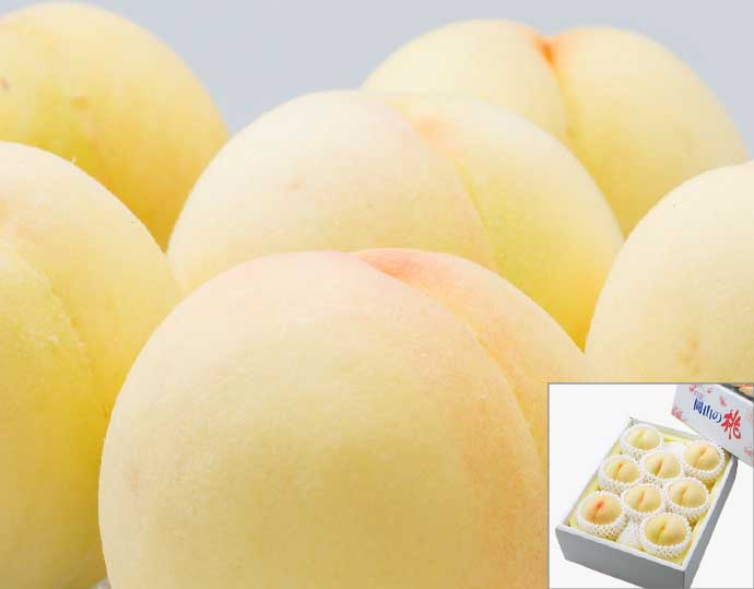 白桃 ８玉（ 1.7kg以上） 等級：ロイヤル化粧箱入り