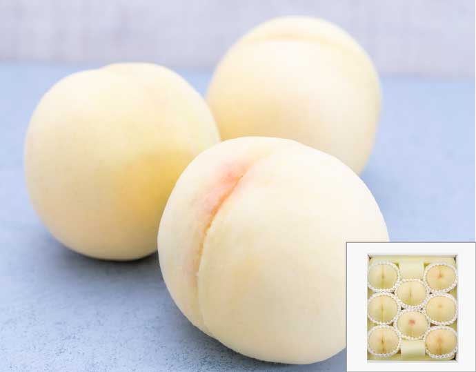 岡山県産 清水白桃 ８玉