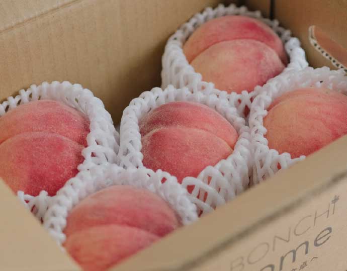 【もったいない！を食べよう】笛吹市産 桃1.5kg（3 〜 5 玉）