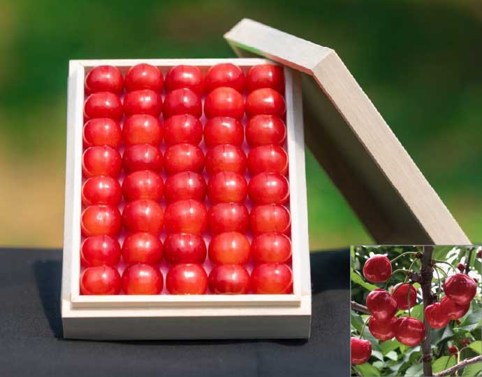 ＜アンスリーファーム＞紅秀峰 特秀 2Lサイズ 桐箱入 300ｇ