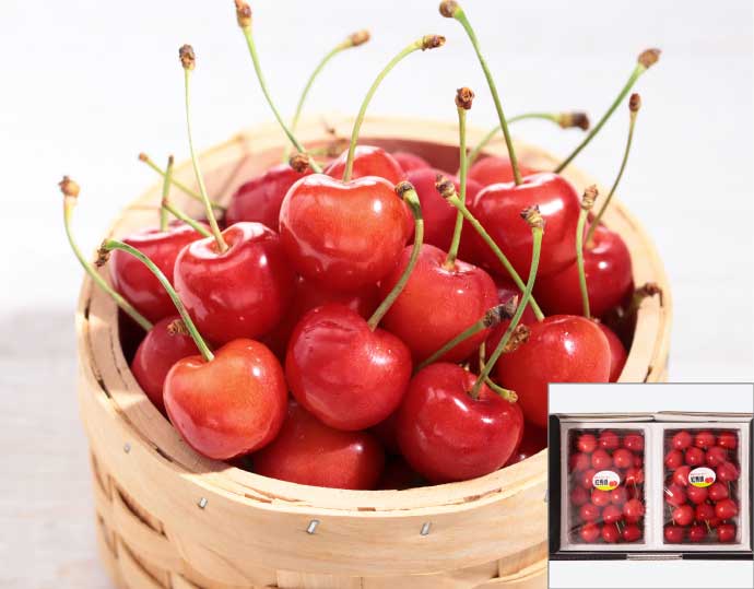 ＜紅秀峰＞仁木町産さくらんぼ 300g 2パック
