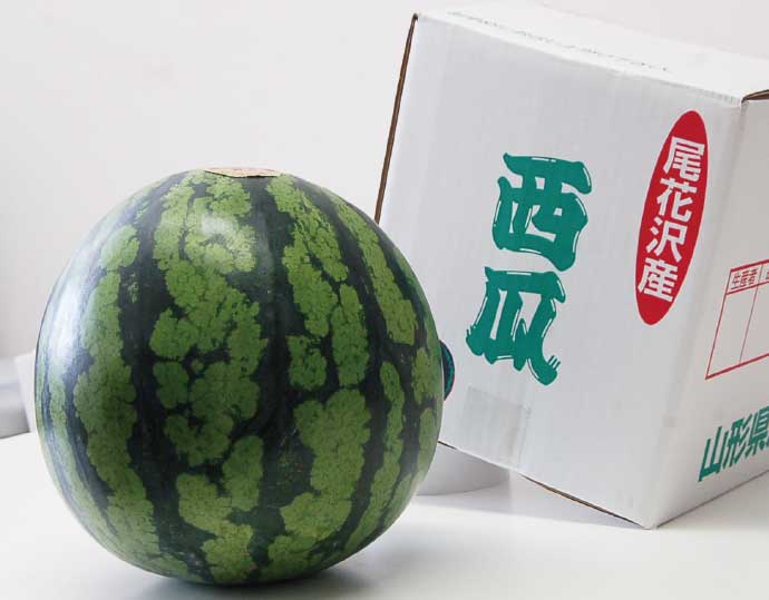 限定生産者グループ 尾花沢市産 超大玉西瓜 6L 1玉