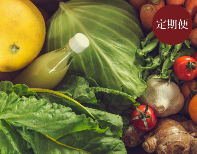旬の「土佐野菜」セット10〜13品 定期便