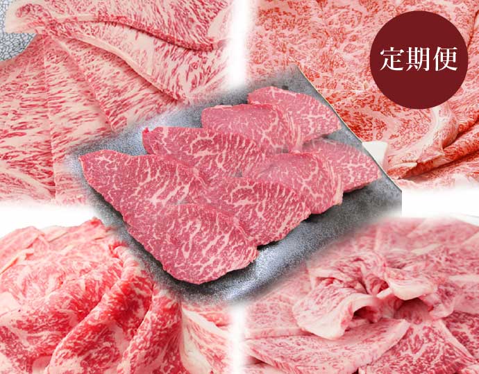 伊勢神宮外宮奉納【厳選飛騨牛】食べ比べ セット【5カ月定期便】 