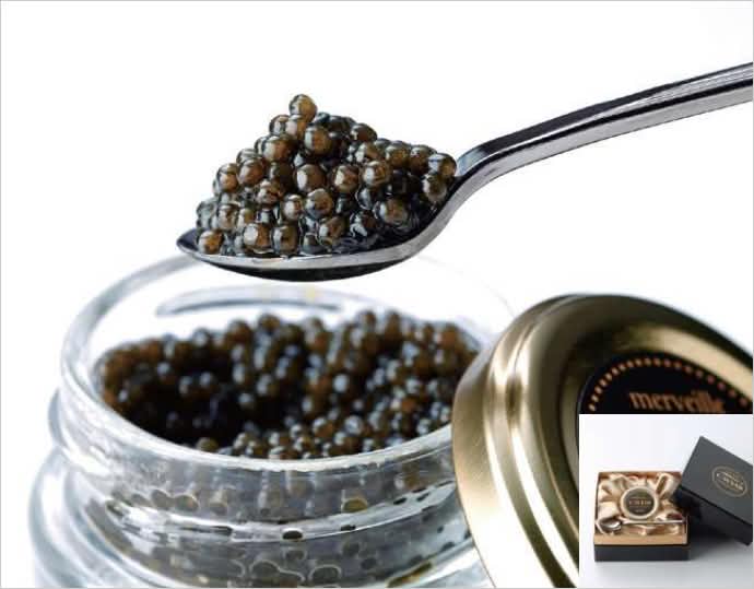 ＜merveille caviar＞【純国産宮崎キャビア】 メルベイユキャビア