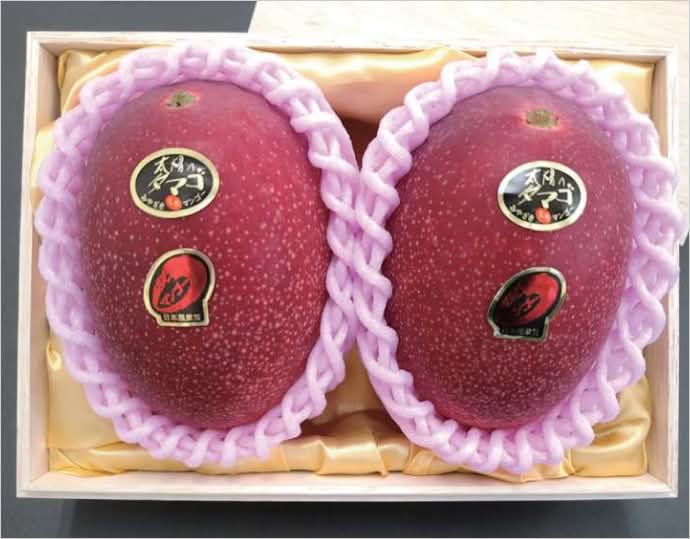 西都産 完熟マンゴー太陽のたまご 4L 2玉 桐箱入り