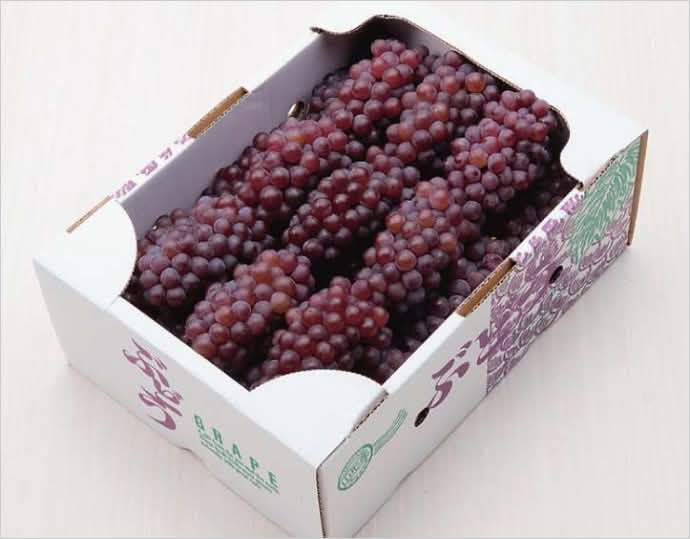 ＜丸松青果＞山形県寒河江市産ぶどう 「デラウェア」秀品1.8kg