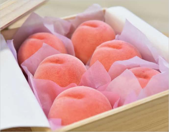 「献上桃の郷」桑折町 特別返礼品『雅』糖度 13.5度以上 2kg