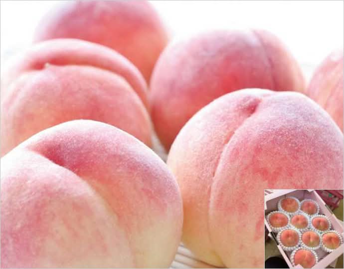 桃「日川白鳳」秀品（大玉）1.8kg