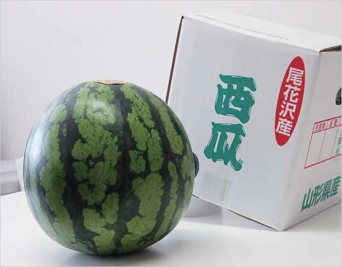 限定生産者グループ 尾花沢市産 超大玉西瓜 6L×1玉