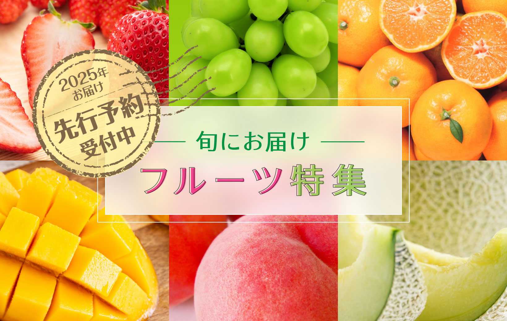 ふるさと納税 果物の詰合せ 高知県 南国市 10〜1月受付／年3